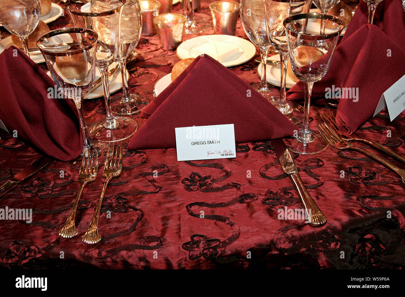 New York, Stati Uniti d'America. 11 Febbraio, 2008. Atmosfera a pallina rossa: Prove di 'grazia in Inverno " gala presso il Teatro di Hudson, Millennium Broadway Hotel. Credito: Steve Mack/Alamy Foto Stock