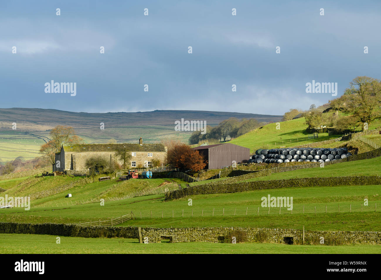 Terreni agricoli, edifici in pietra e balle avvolte in nero nella panoramica e collinare campagna Yorkshire Dales - Barden, Wharfedale, Inghilterra. Foto Stock