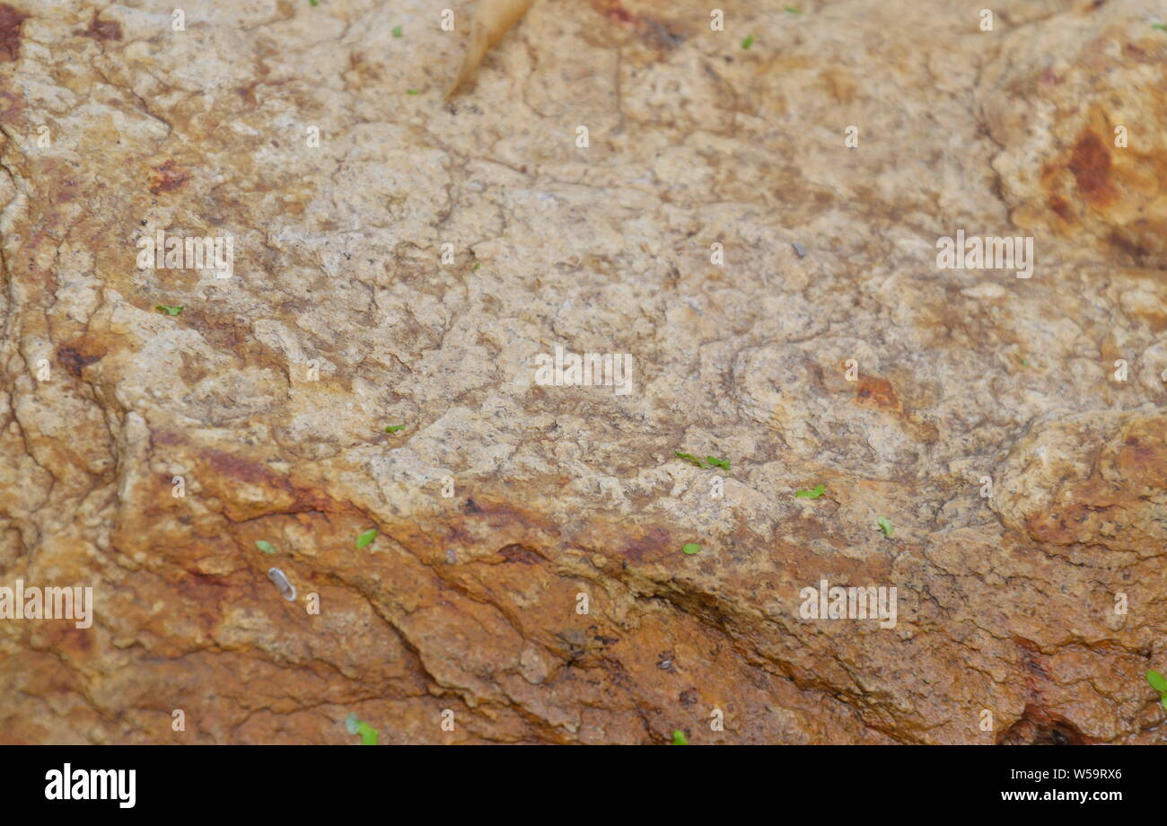 Rock texture e background in giardino Foto Stock