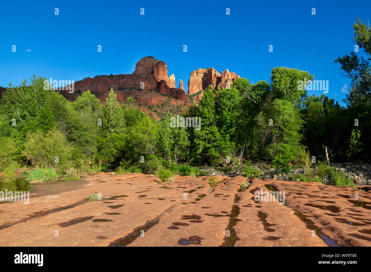 Cattedrale di roccia in Sedona, in Arizona, Stati Uniti Foto Stock