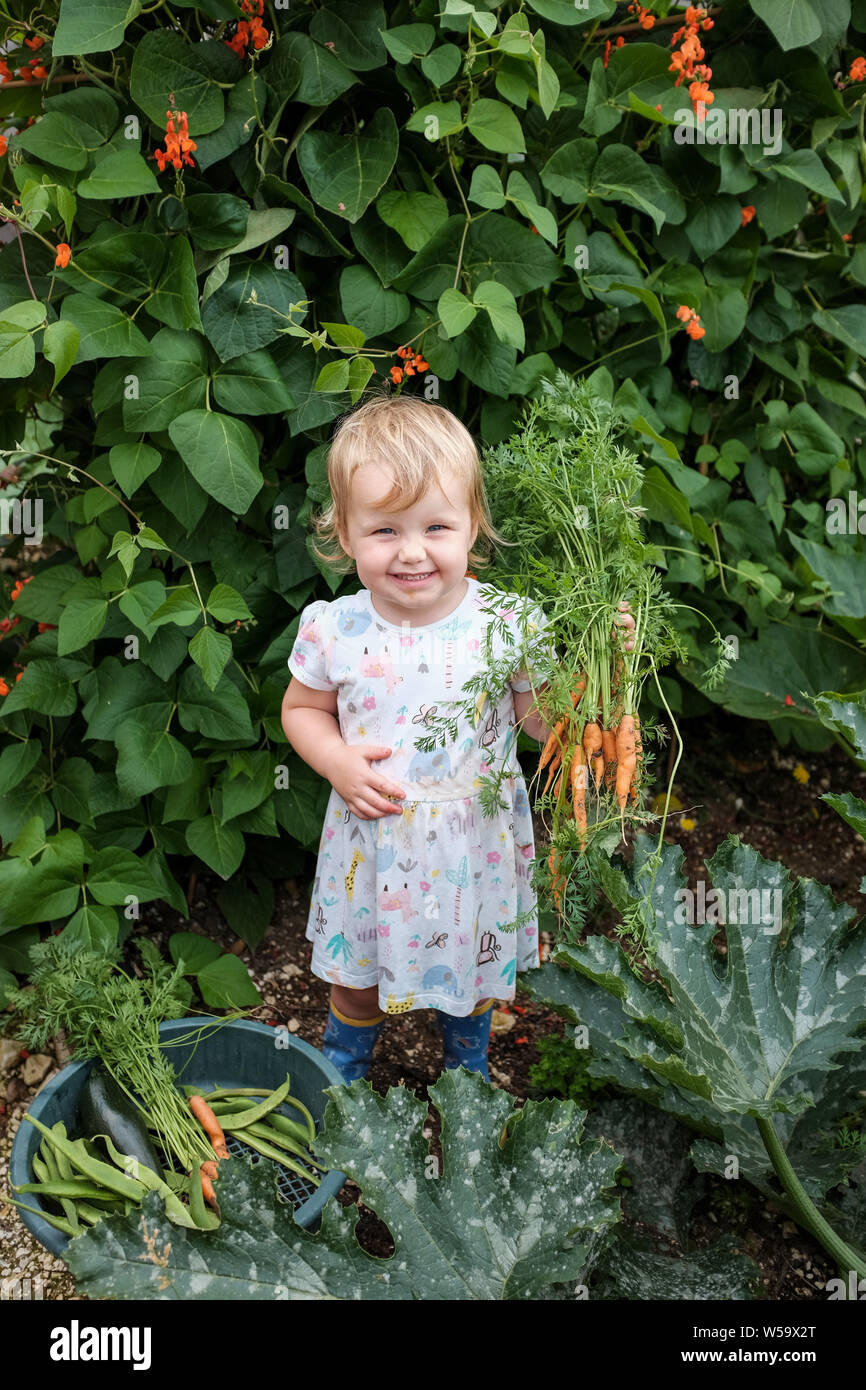 Giovani toddler 2 anno vecchia ragazza toddler avendo divertimento picking freschi Fagioli runner , le zucchine e le carote in un vegetale riparto giardino fotografia scattata Foto Stock