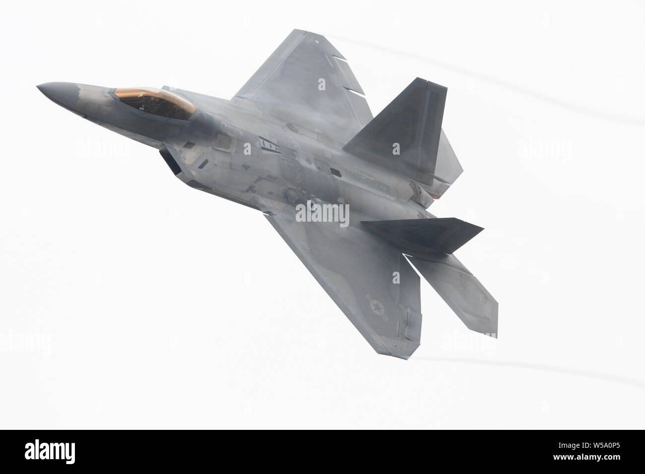 Stati Uniti Air Force Il Mag. Joshua "Cabo" Gunderson, un F-22 Raptor pilota con il novantesimo Fighter Squadron esegue una dimostrazione di antenna per gli spettatori durante la terza ala il centesimo anniversario celebrazione che si tiene a base comune Elmendorf-Richardson, Alaska, Luglio, 26, 2019. Gli eventi inclusi un aerodromo 5K run, un F-22 Raptor dimostrazione, un F-22 carico di armi crew concorrenza e un tradizionale roll call e pianoforte di masterizzazione. (U.S. Air Force foto di Alejandro Peña) Foto Stock
