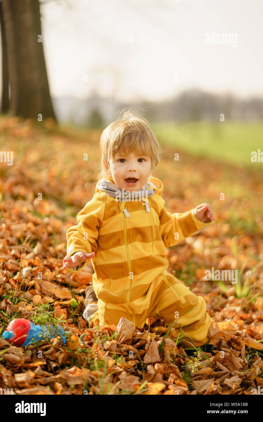 Concetto: famiglia, bambini. Felice piccolo bambino, baby boy ridendo e giocando in autunno la natura a piedi all'aperto presso il park Foto Stock