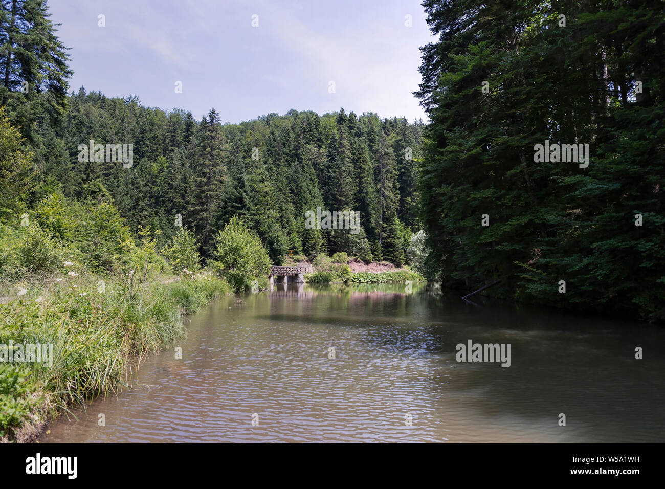 Parco Nazionale DI TARA, Serbia - Vista del Lago di Jarevac Foto Stock