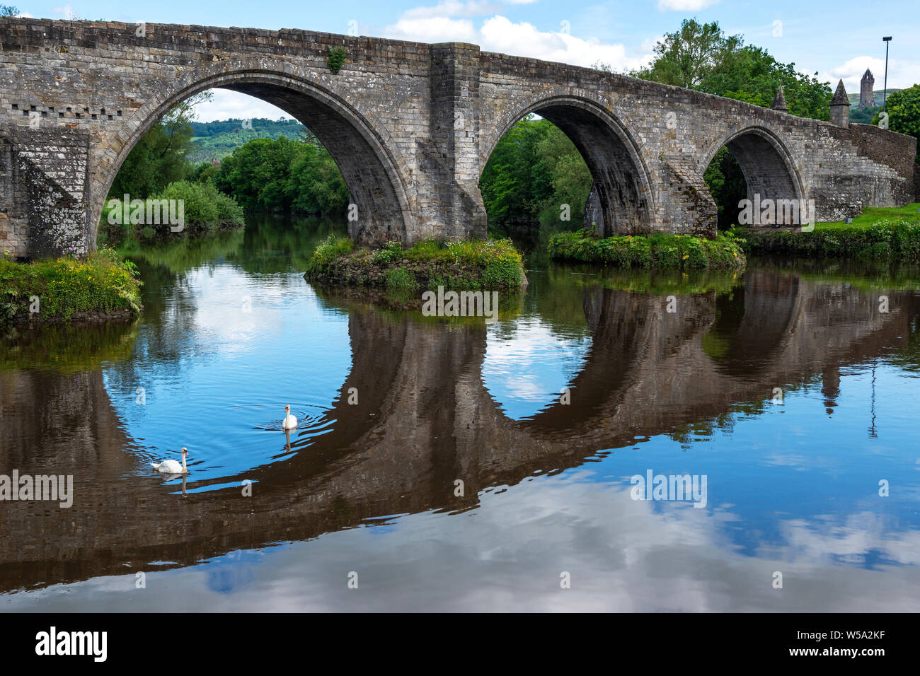 Il vecchio ponte di Stirling con cigni in primo piano si riflette nel fiume Forth a Stirling, Scozia, Regno Unito Foto Stock