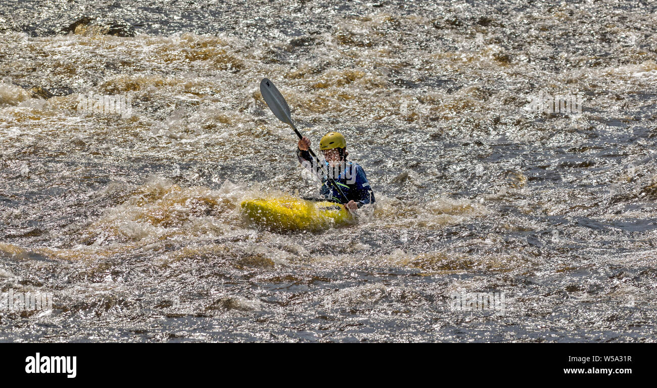 Fiume Spey Scozia giallo e kayak PADDLER quasi sommerso in acqua bianca RAPIDS Foto Stock