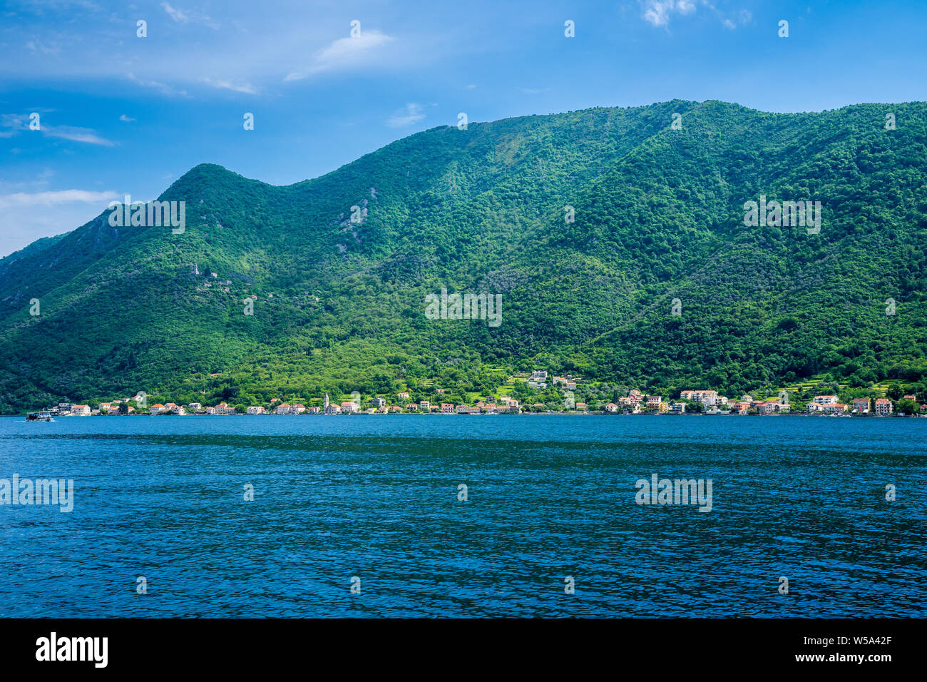 Montenegro, bellissimo albero verde foresta e le montagne coperte con le città costiere e le case accanto a riva di Kotor bay visto da perast Foto Stock