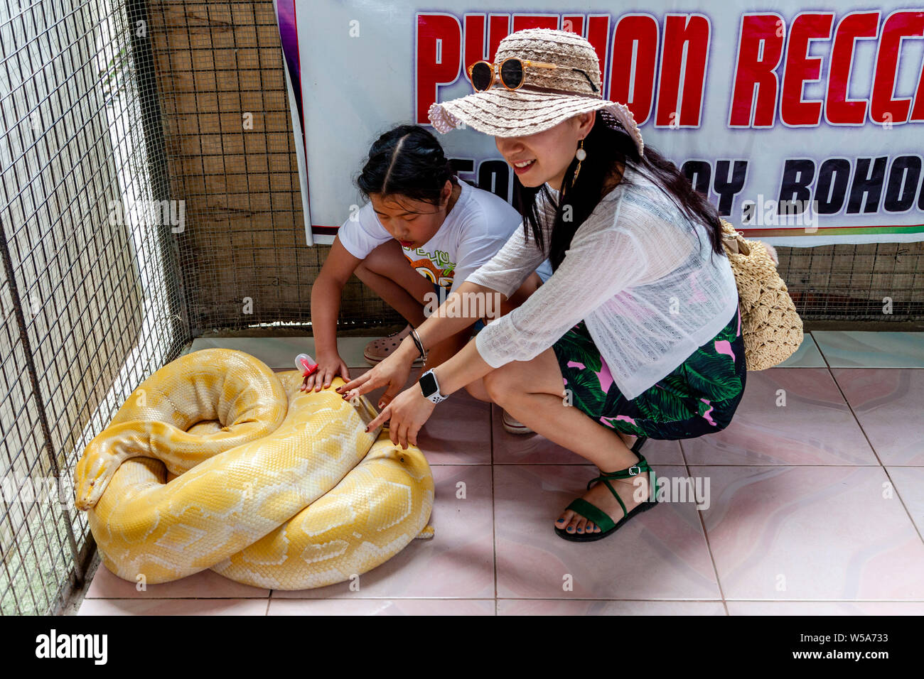 I visitatori di un mini zoo toccare un albino Burmese Python ad una conservazione Zoo, Bohol, Filippine Foto Stock