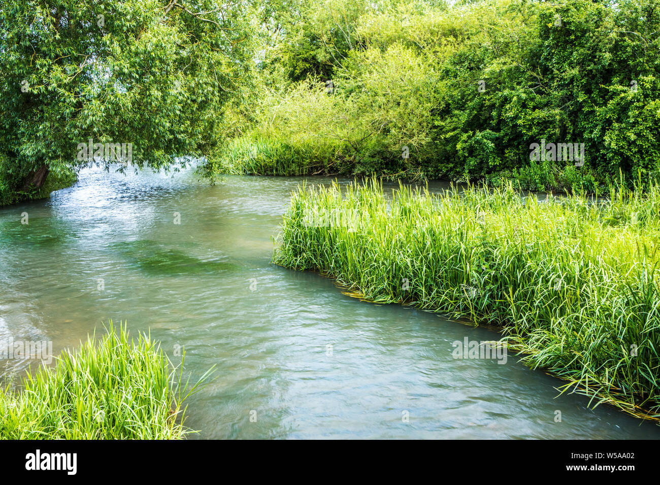 Il Fiume Windrush in estate in Cotswolds. Foto Stock