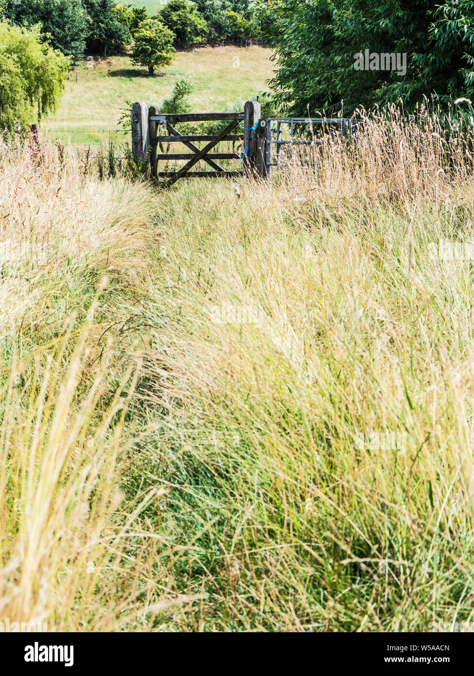 Un sentiero erboso che conduce ad un cancello in legno in estate in Cotswolds. Foto Stock