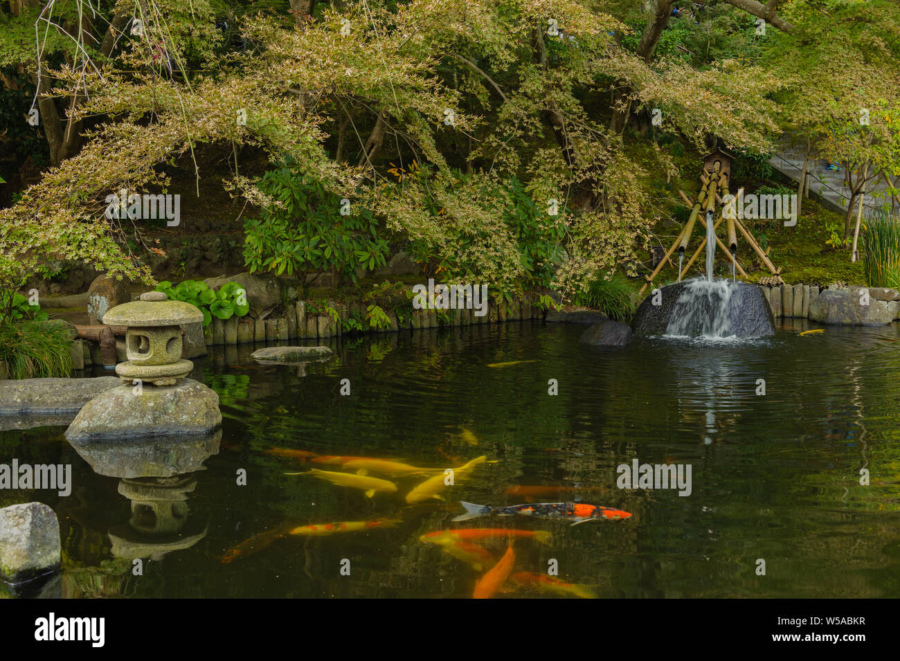 Giapponese di carpe Koi nel lago di Hase-deras buddhistic zen il giardino del tempio che mostra il loro modello classico a Kamakura Giappone 2018 Foto Stock