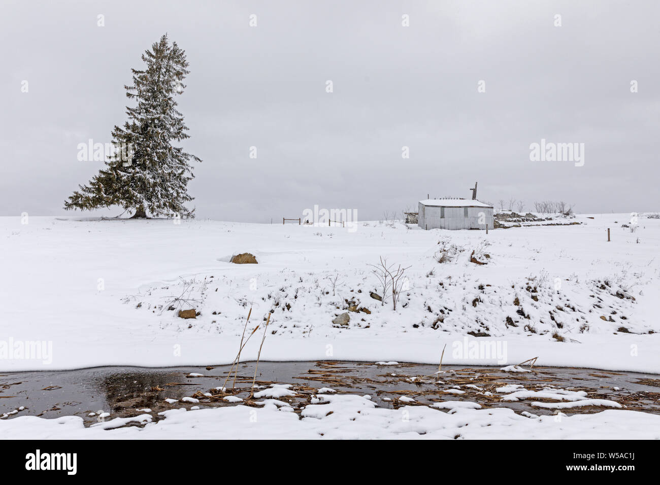 Scena di neve in Valle di Mohawk, Montgomery County, New York, Stati Uniti d'America. Foto Stock