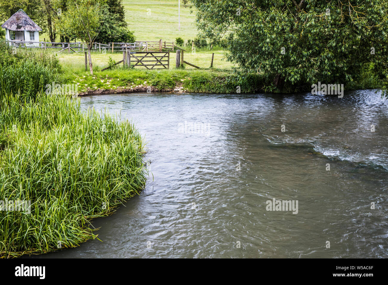 Il Fiume Windrush in estate in Cotswolds. Foto Stock