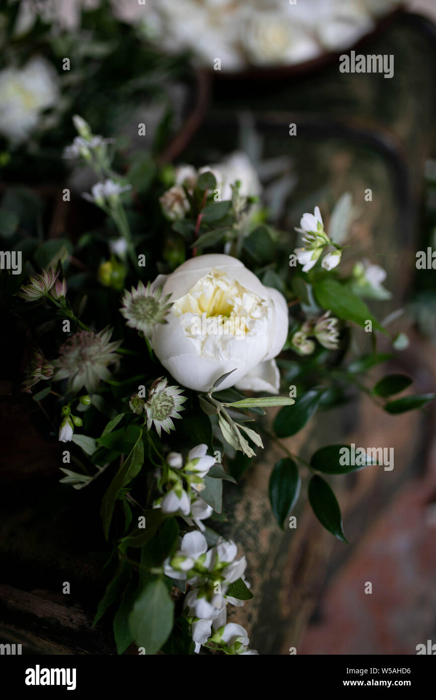 Bianca decorativa le peonie. Il concetto di matrimonio. Formato verticale. Foto Stock