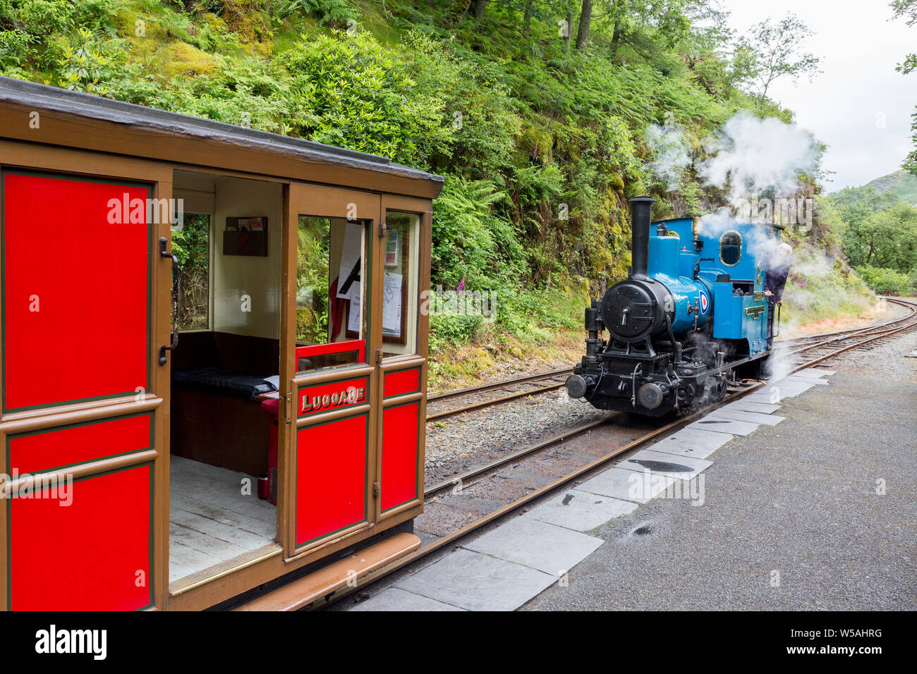 Il 1918 0-4-0WT steam loco 'Douglas' a Nant Gwernol stazione sul Talyllyn - il primo al mondo il patrimonio conservato ferroviarie, Gwynedd, Wales, Regno Unito Foto Stock