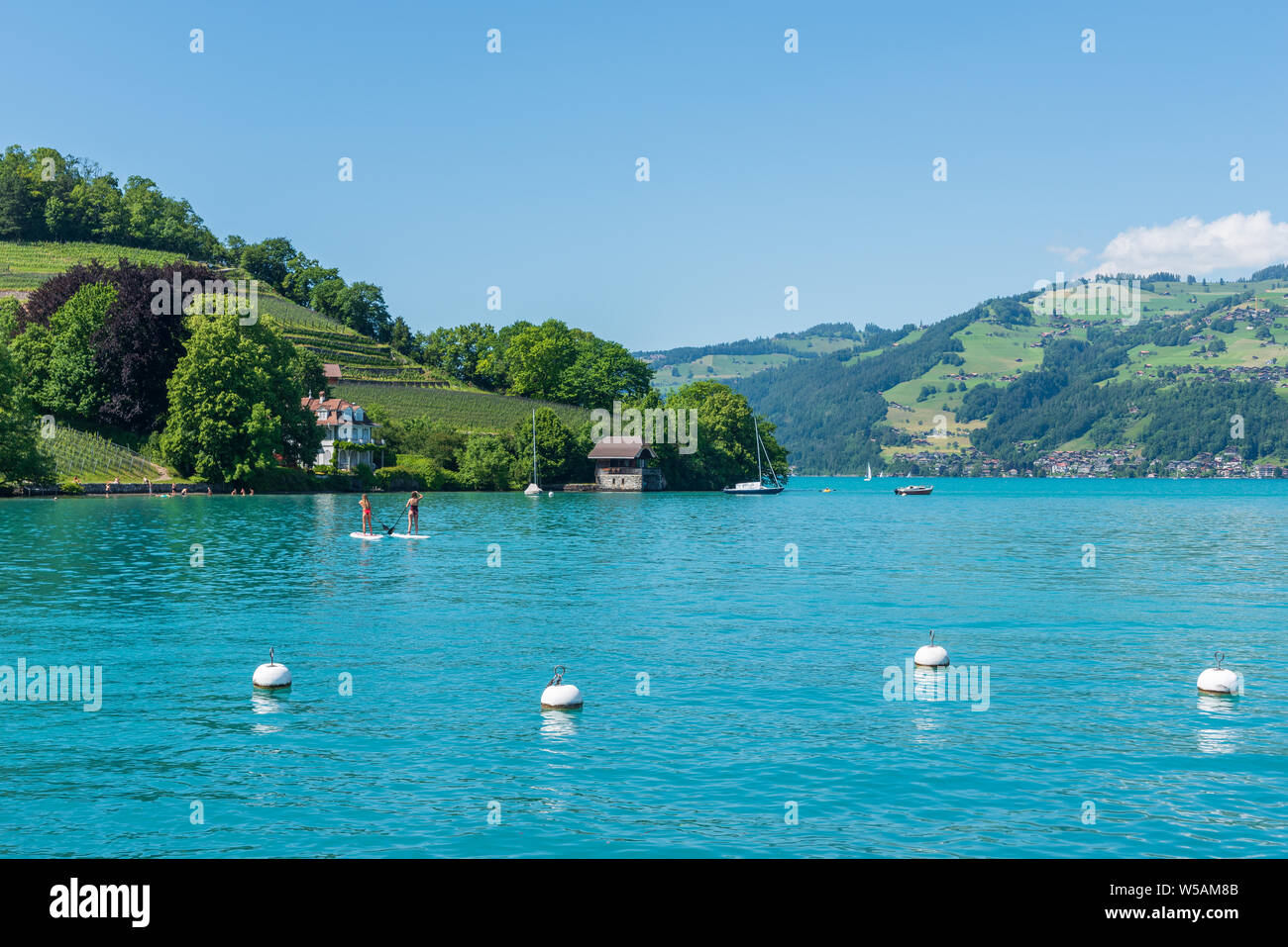Paesaggio con il lago di Thun, Spiez, Oberland bernese, Svizzera, Europa Foto Stock
