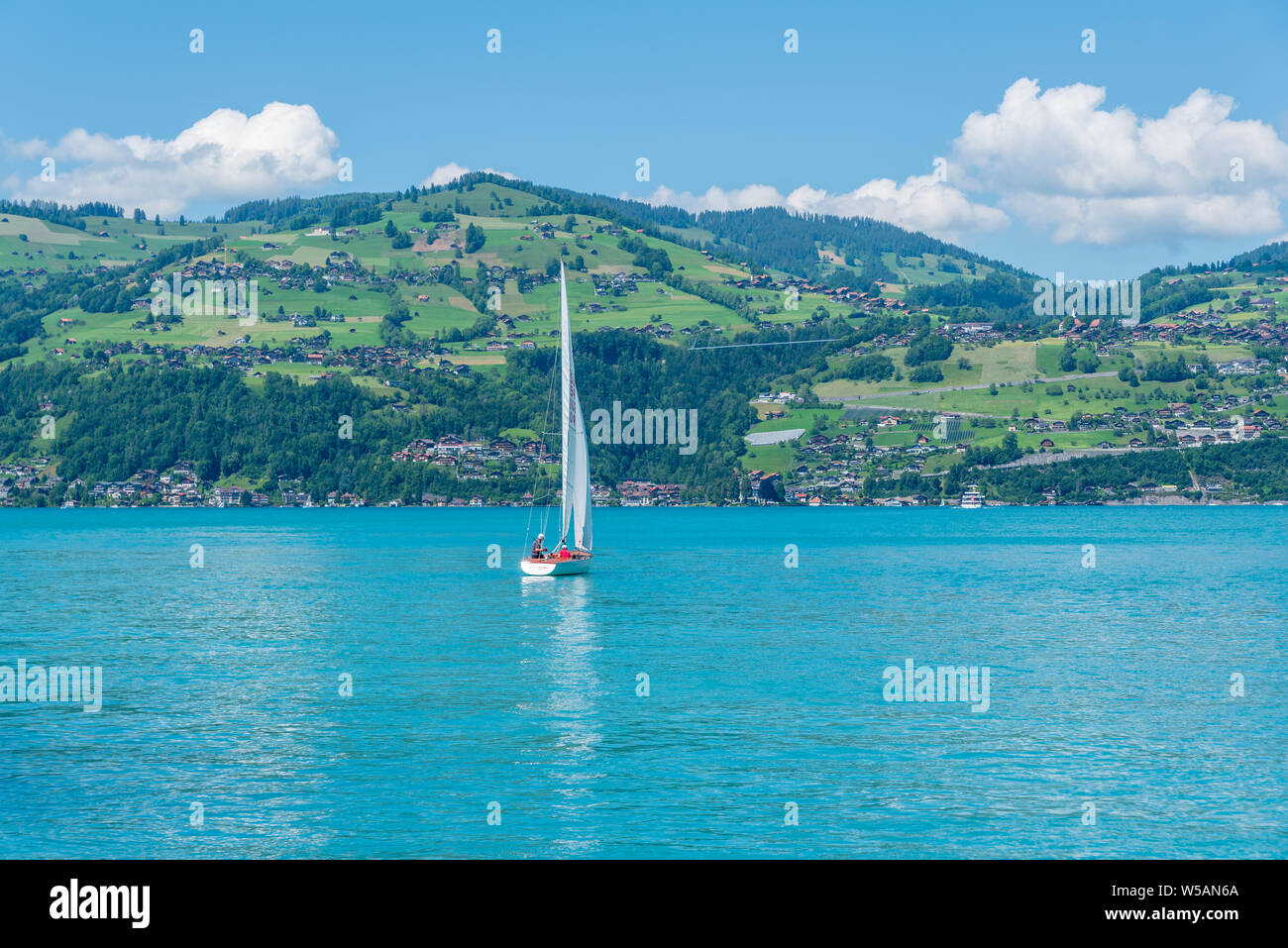 Barca a vela sul lago di Thun, Spiez, Oberland bernese, Svizzera, Europa Foto Stock