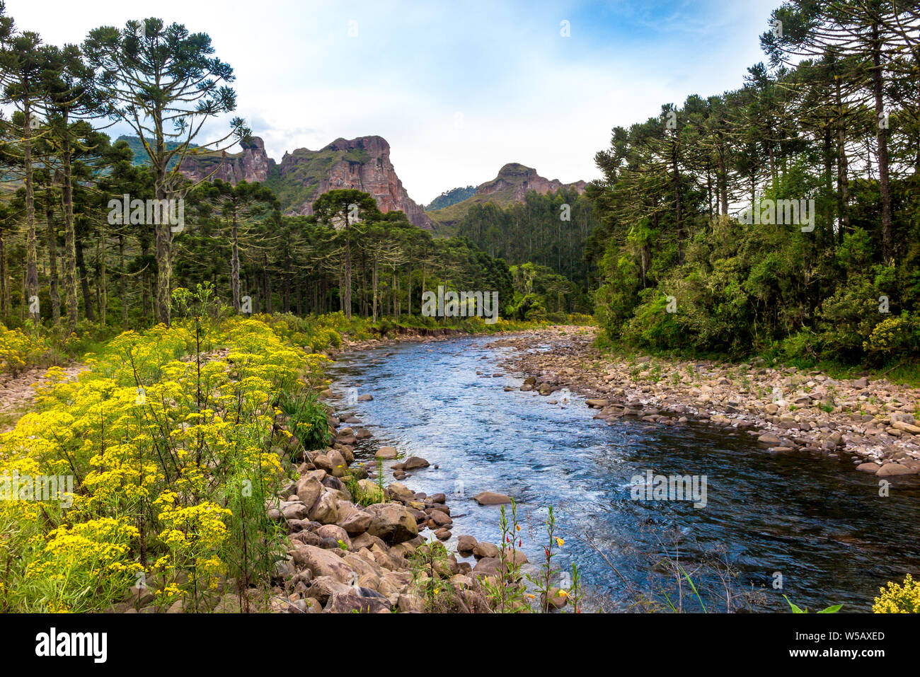 Canoas fiume, con rocce, fiori gialli, foresta sulle rive e Pedra da Aguia mountain in background, cielo molto nuvoloso Foto Stock