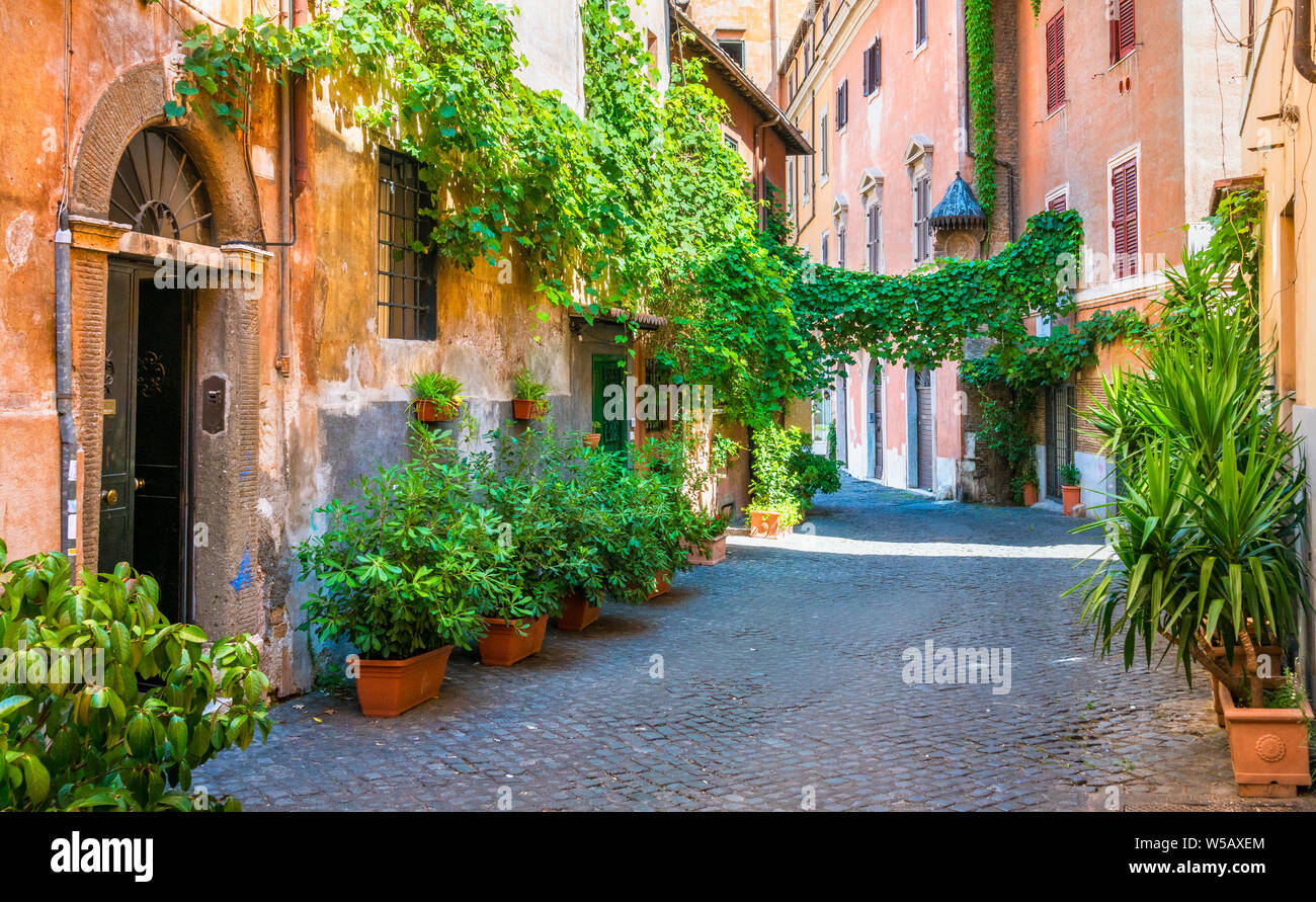 Il pittoresco rione Trastevere in una mattinata estiva a Roma, in Italia. Foto Stock