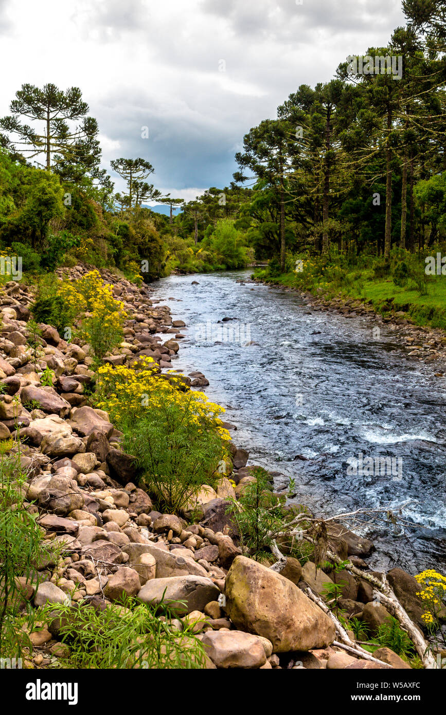 Canoas fiume, con rocce e foresta sulle rive, cielo molto nuvoloso Foto Stock