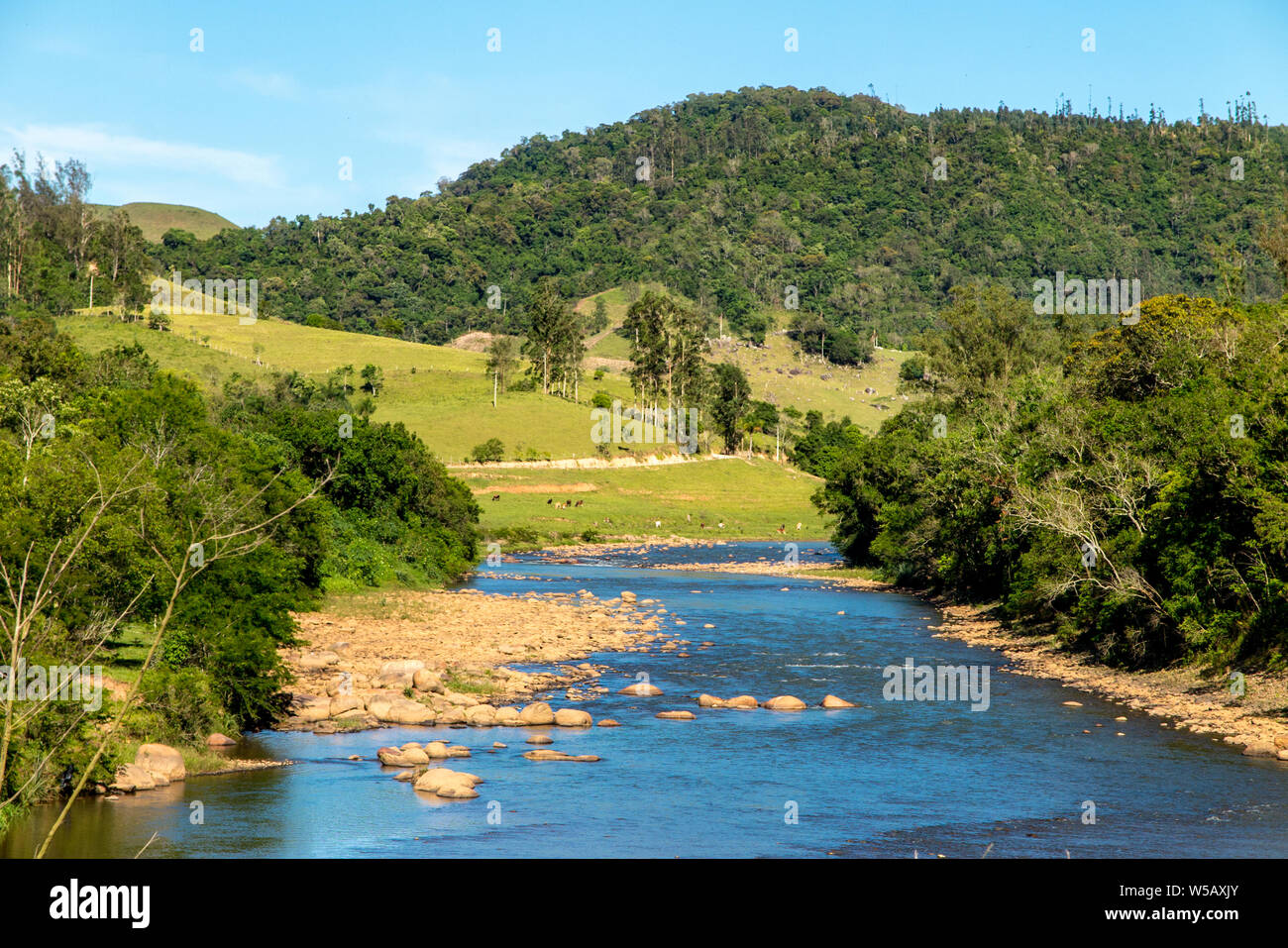 Ampia e fiume calmo, con pietre e un sacco di vegetazione nei margini, sotto il cielo blu Foto Stock