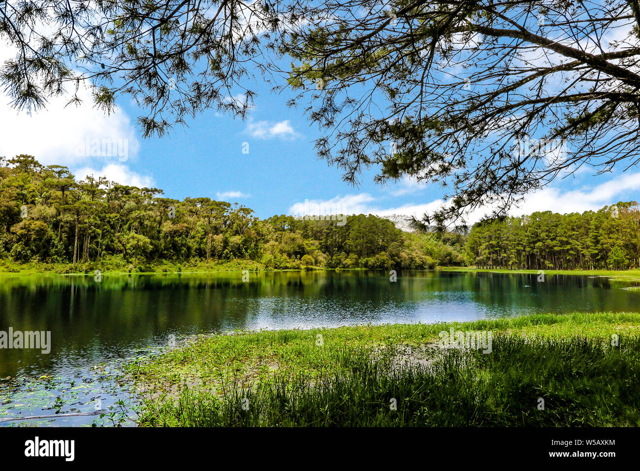 Perimbo Diga lago, con molti alberi e prati nei dintorni Foto Stock