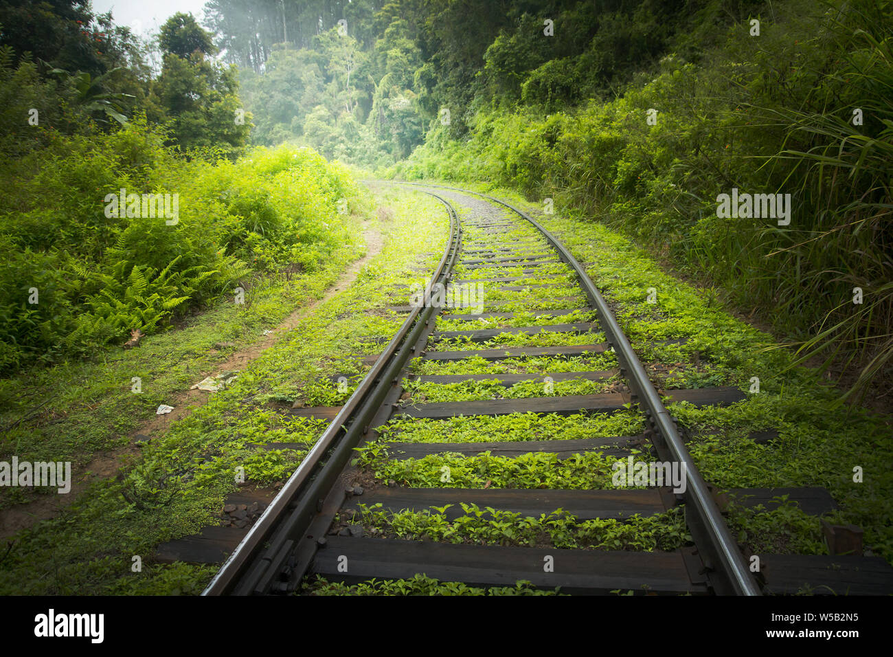 I binari ferroviari nel verde della campagna Foto Stock