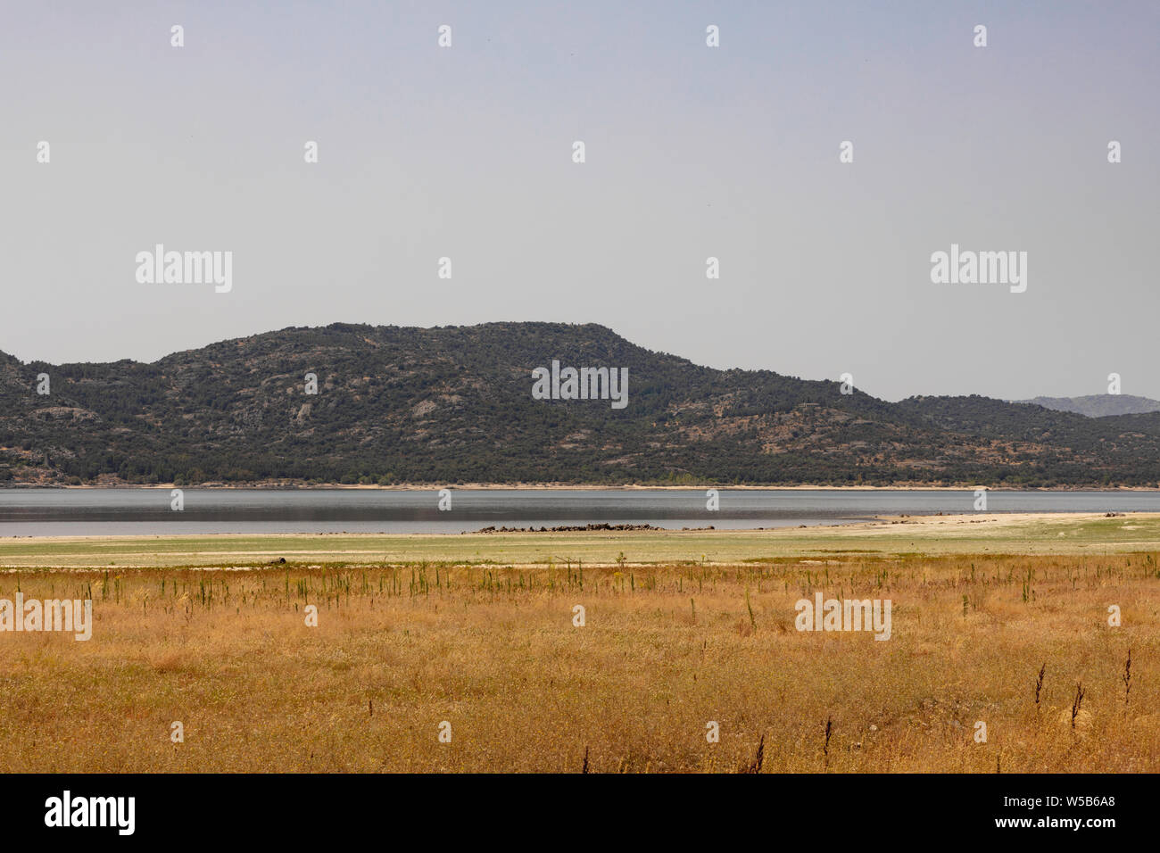 Asciutto e soleggiato paesaggio con fiume Manzanares e della foresta in background Foto Stock