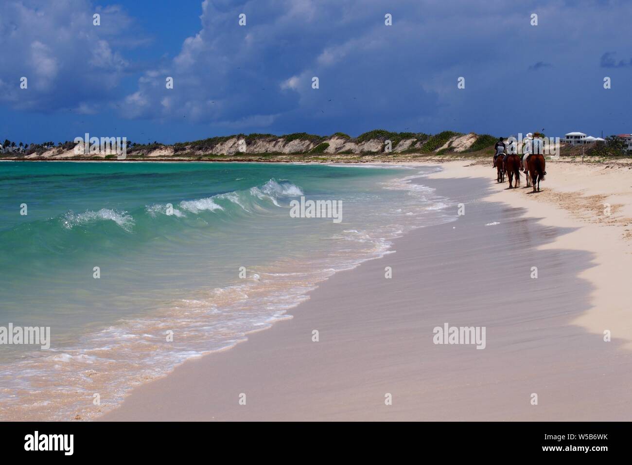 Equitazione su Cove Bay beach, Anguilla BWI. Foto Stock