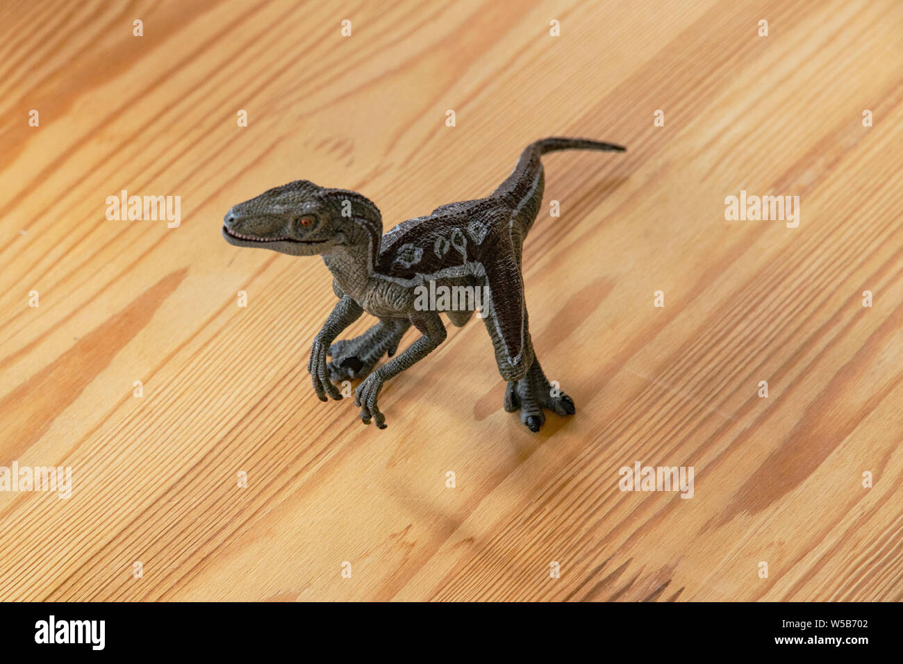 Giocattolo per bambini è antica predator dinosauro su una tavola di legno in una stanza inondata di luce del sole. Tyrannosaur giocattolo di plastica. Antico rettile predatori fr Foto Stock