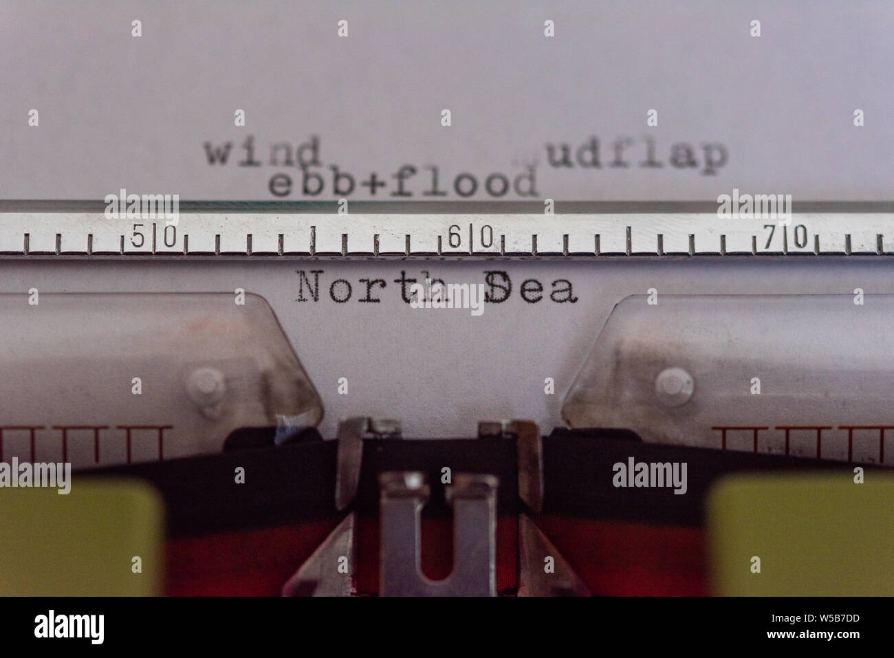 Nastri inchiostratori per macchine da scrivere con una foglia e le parole al vento, parafango, ebb+alluvione e Mare del Nord Foto Stock