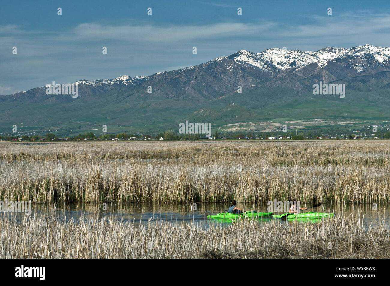 UT: Cache County, Area di Logan, città di Logan, Kayakers al Bear River, con le cime alpine della gamma Wellsville in background Foto Stock