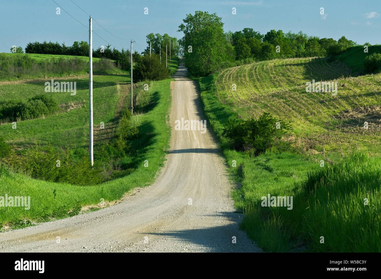 KS: Doniphan County, Area Wathena, Fiume Missouri campagna, una strada di ghiaia attraversa terreni agricoli vicino al Fiume Missouri Foto Stock