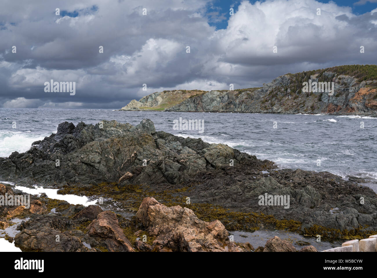 Roccioso litorale atlantico della testa di Corvo vicino Twillingate in Terranova, Canada Foto Stock
