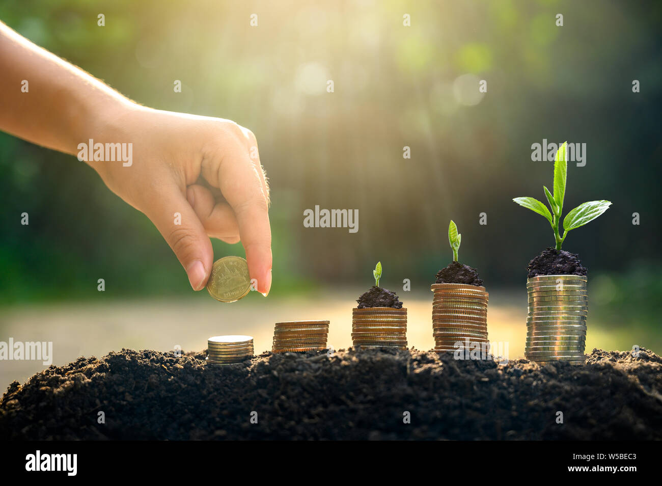 La crescita di denaro per un risparmio di denaro. Albero superiore monete al concetto illustrato ai cambiamenti di un business in espansione Foto Stock