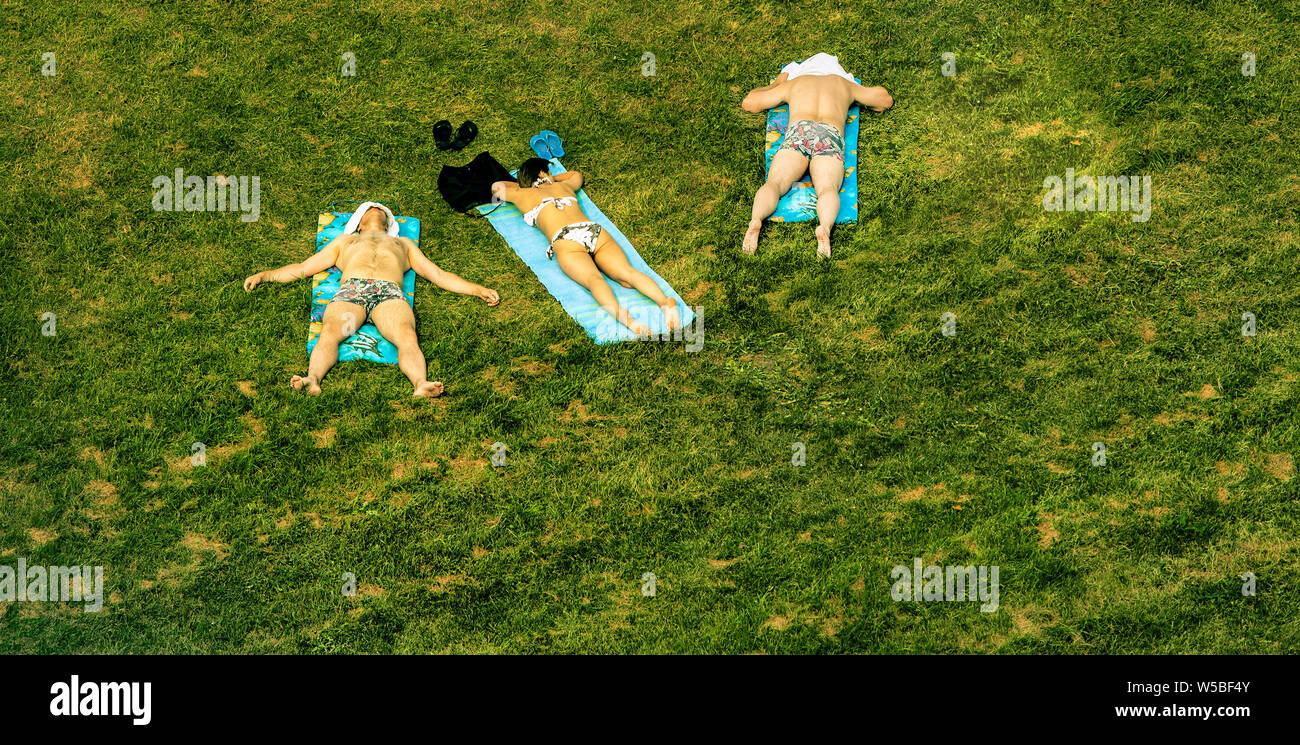 Lucertole da mare sull'erba, concept Foto Stock