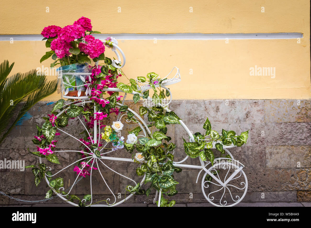 Vintage bike su cui fiori crescono. Fiori crescono fuori di una pentola e coprire tutta la bici. Foto Stock