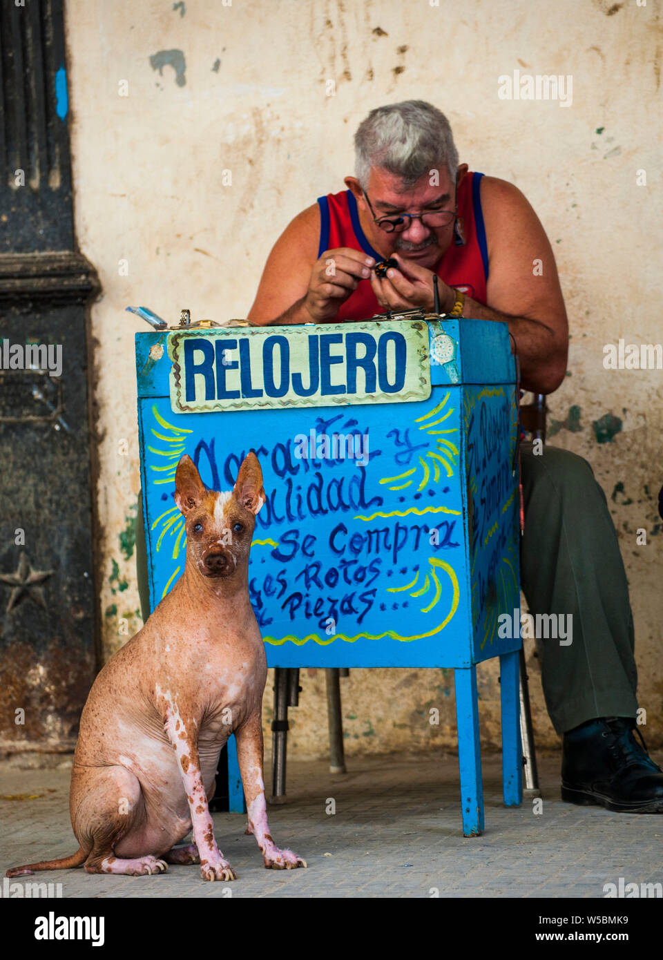Cane e la riparazione di orologi uomo Foto Stock
