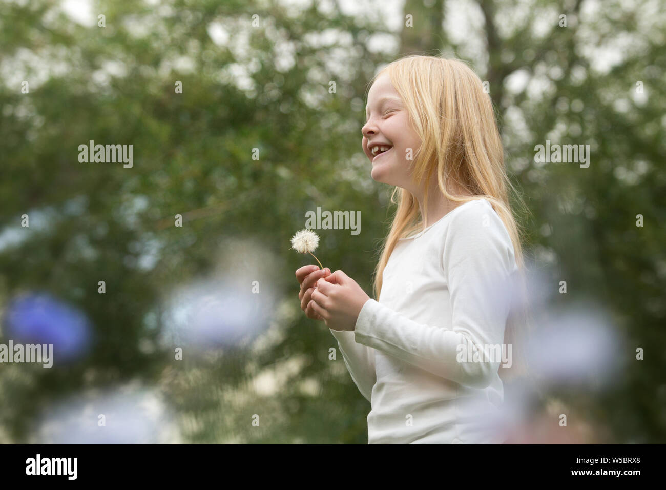 Blonde bambino ride felicemente tenendo un dente di leone in un giardino Foto Stock