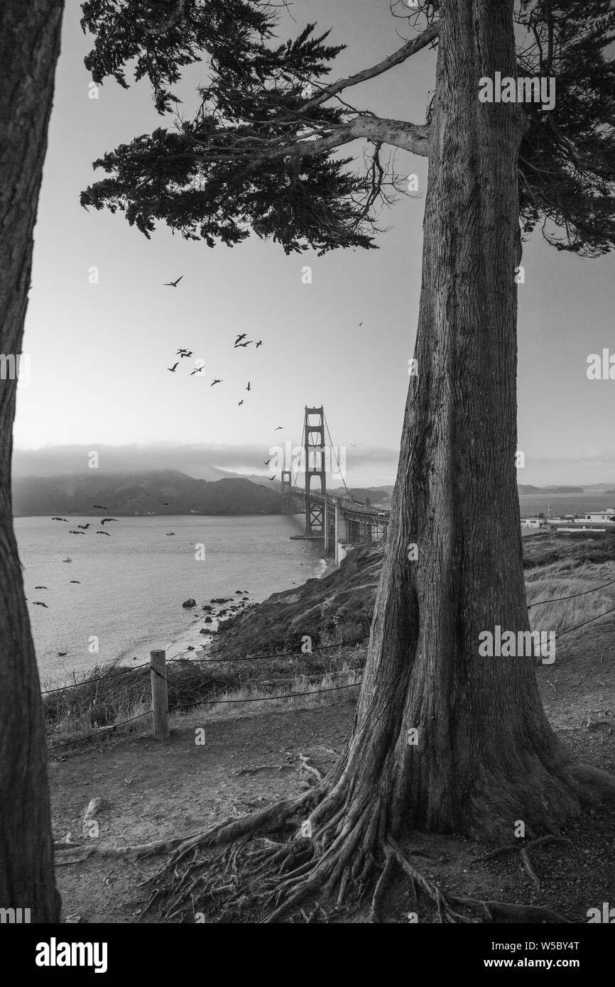 Golden Gate Bridge / San Francisco Foto Stock