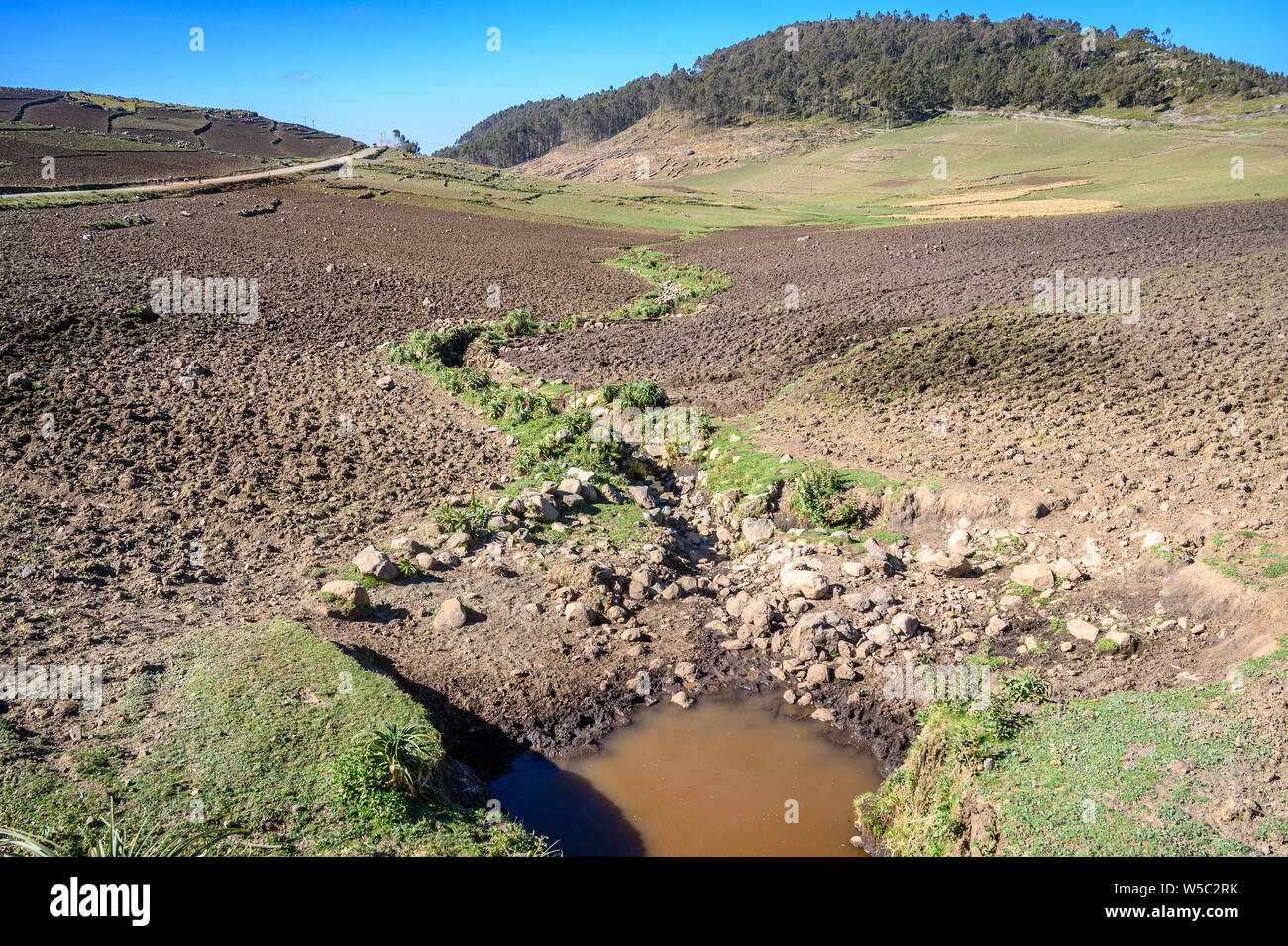 Un piccolo acqua torbida piscina seduto alla fine del flusso essiccato, Debre Berhan, Etiopia Foto Stock