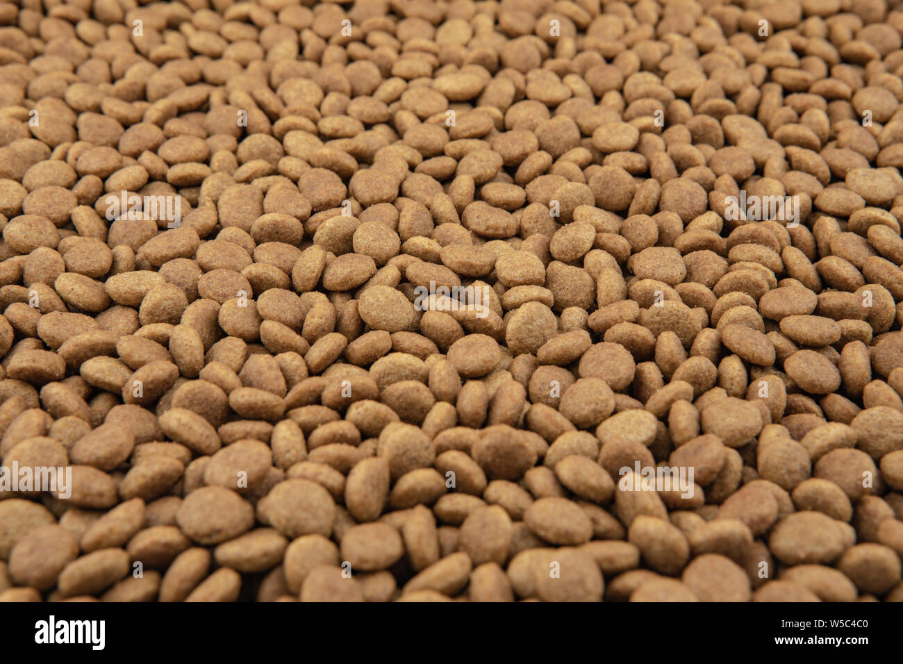 Close-up di pet cibo secco. Pelo di gatto o cane agglomerati in forma di pellets Foto Stock