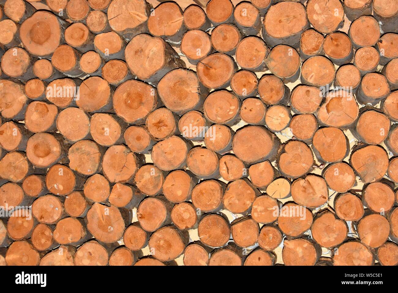 Abstract la configurazione di sfondo immagine termina di brevi tratti di diametro casuale legname segato logs impilati nel ristorante come arty Wall display decorazione REGNO UNITO Foto Stock