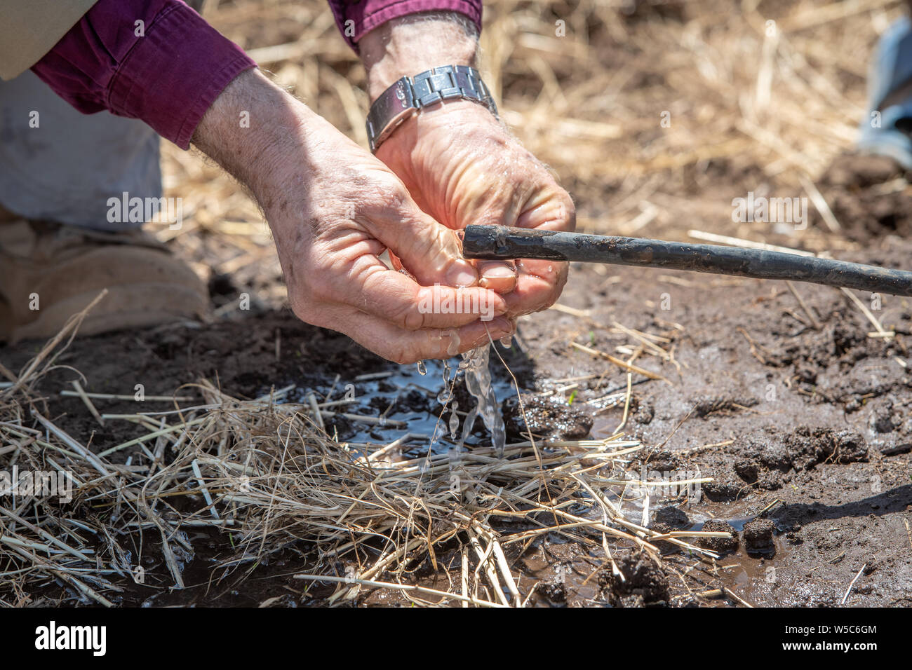 Un uomo si lava le mani sotto un tubo flessibile, Debre Berhan University di Debre Berhan, Etiopia Foto Stock