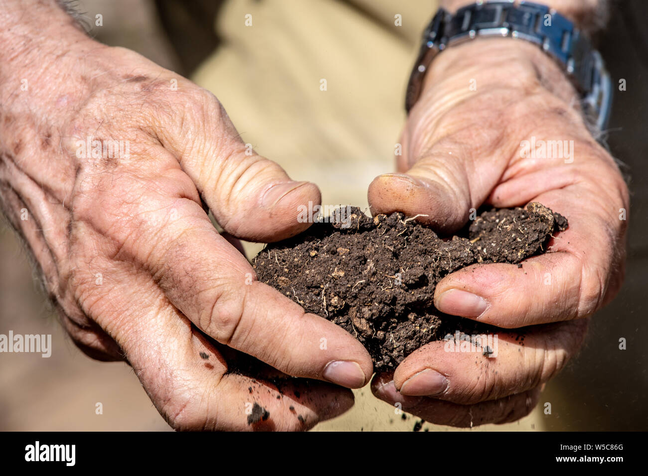 Mani rompere i pezzi di terreno, Debre Berhan, Etiopia. Foto Stock