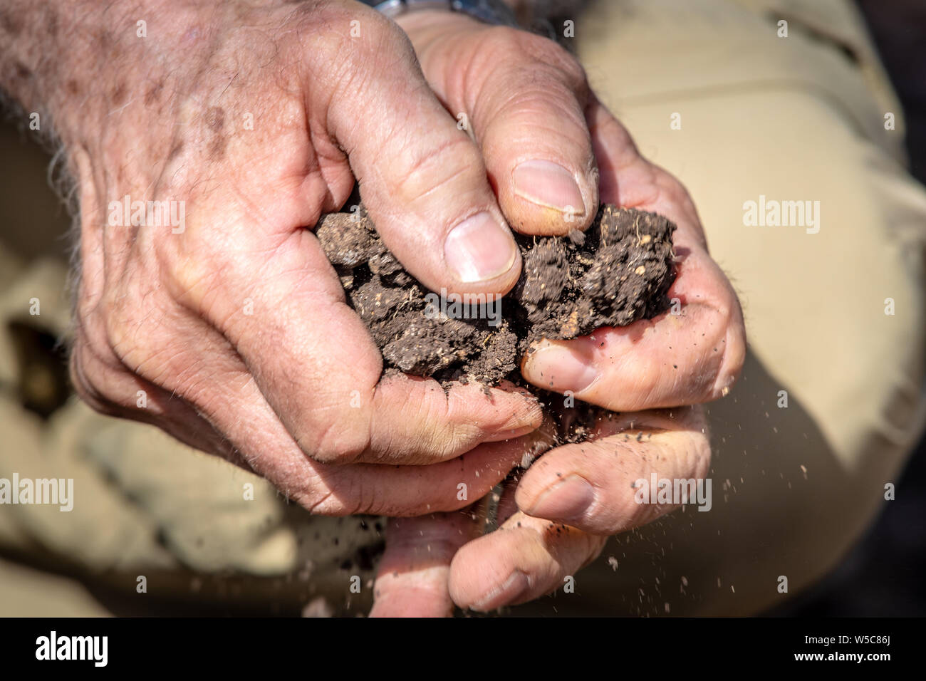 Mani rompere i pezzi di terreno, Debre Berhan, Etiopia. Foto Stock