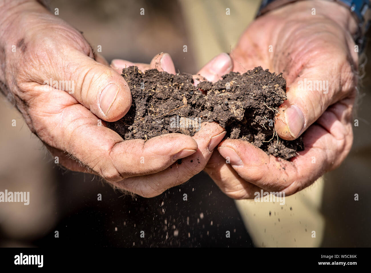 Mani rompere i pezzi di terreno, Debre Berhan, Etiopia. Foto Stock