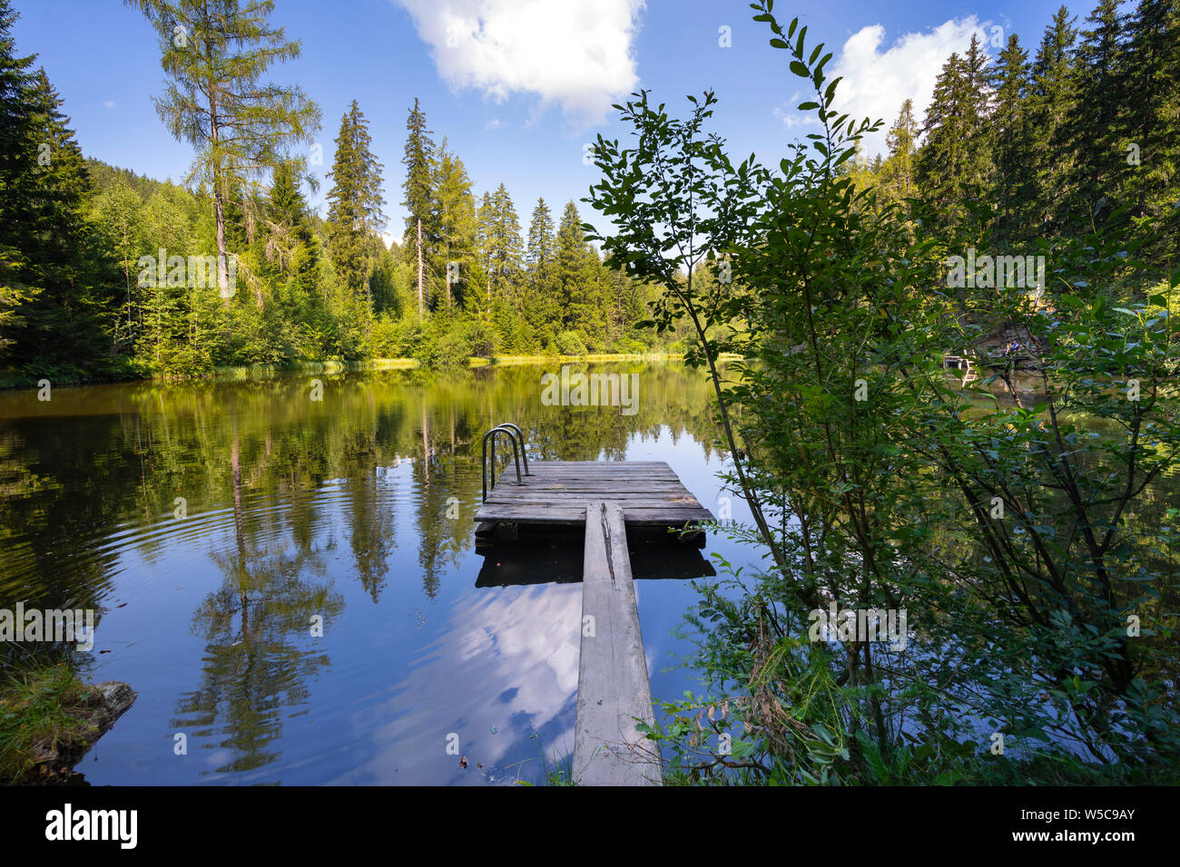 Il molo di legno con una scaletta in un scenic lussureggiante verde lago circondato da alberi Foto Stock