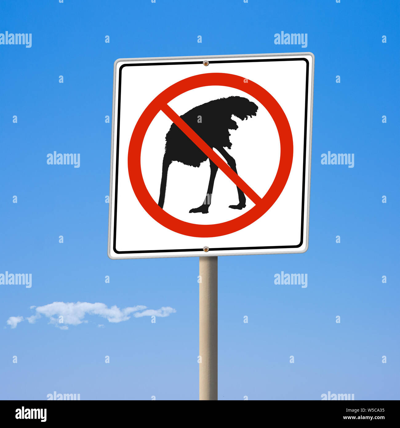 Ostrich cartello stradale nascosto dal concetto di problema 3d illustrazione Foto Stock