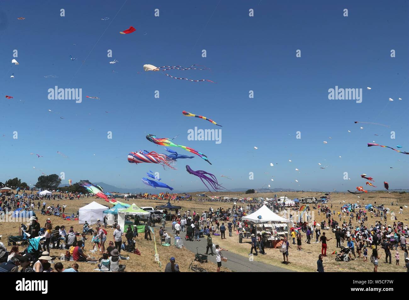 In California, Stati Uniti d'America. 27 Luglio, 2019. La gente volare Kites durante il XXXIV Berkeley Kite Festival di Berkeley, California, Stati Uniti, 27 luglio 2019. Credito: Xinhua/Alamy Live News Foto Stock